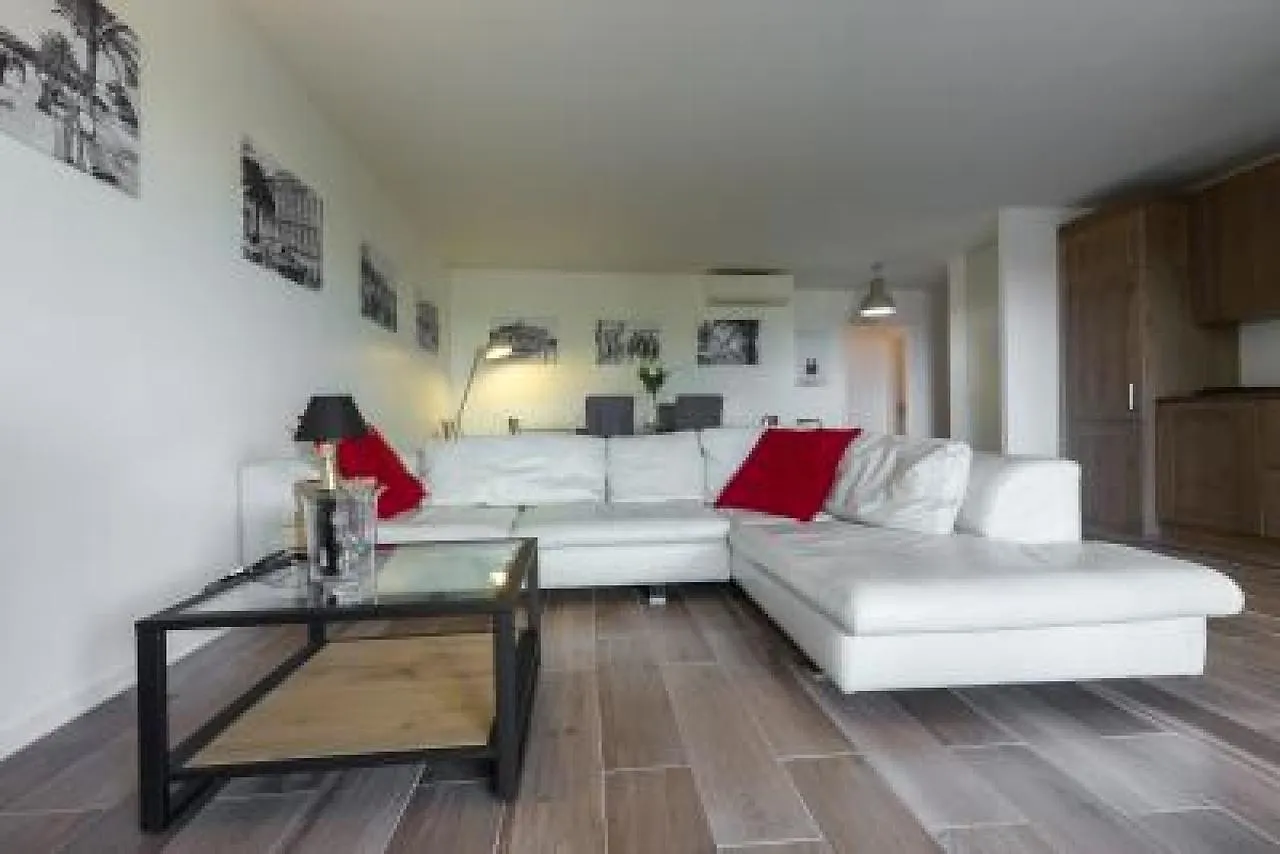 Modern Spacious 3 Bed 2 Bath Apt In Quiet Residential Area Of Cannes Walking Distance To Croisette 1769
